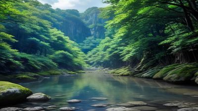 温馨的家庭客厅场景，两人相对而坐，画面呈现出冷战结束后重新对话的温柔氛围，暖色灯光